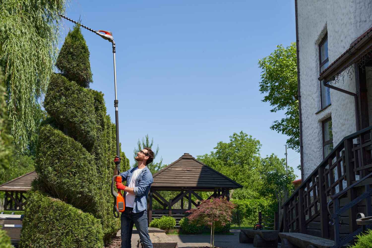 Best Affordable Tree Service  in Larksville, PA